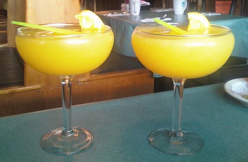 Giant mimosas at Richens in Lincoln City, Oregon