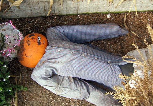 It's the Dead Pumpkin, Charlie Brown!